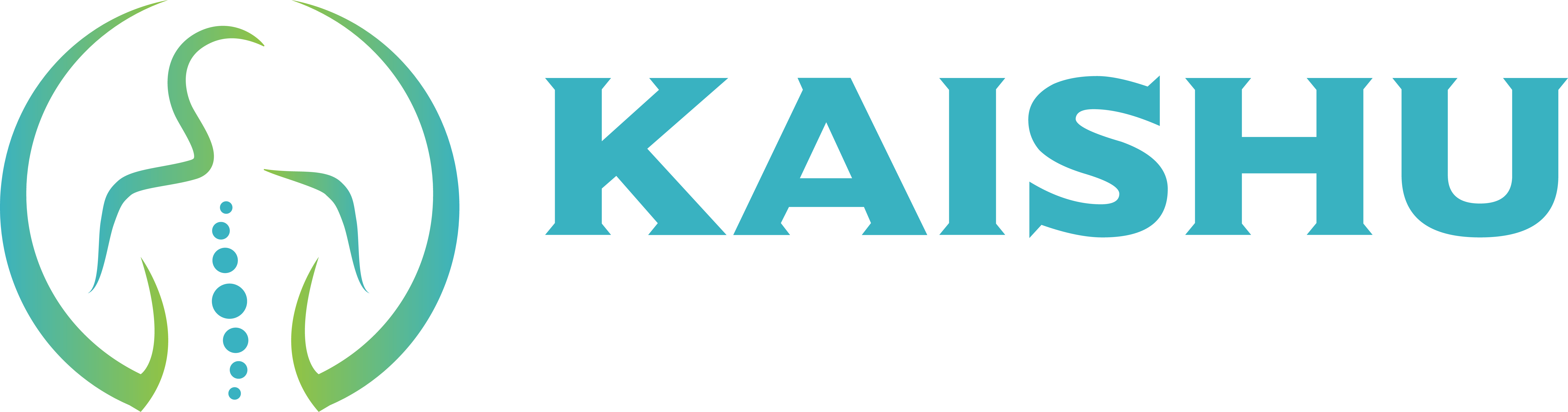 logo-kaishu-pengobatan-syaraf-kejepit-tulang-belakang